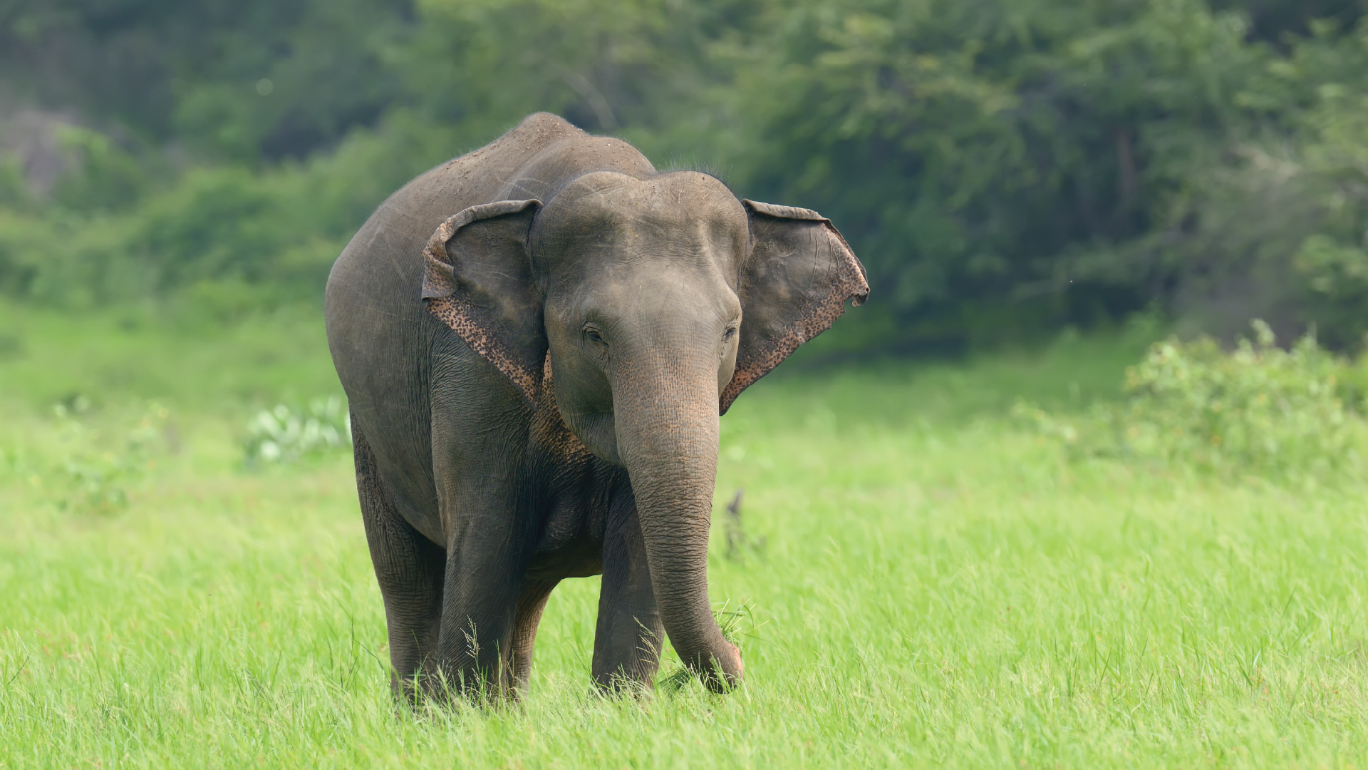 Bhagwan Mahaveer Wildlife Sanctuary